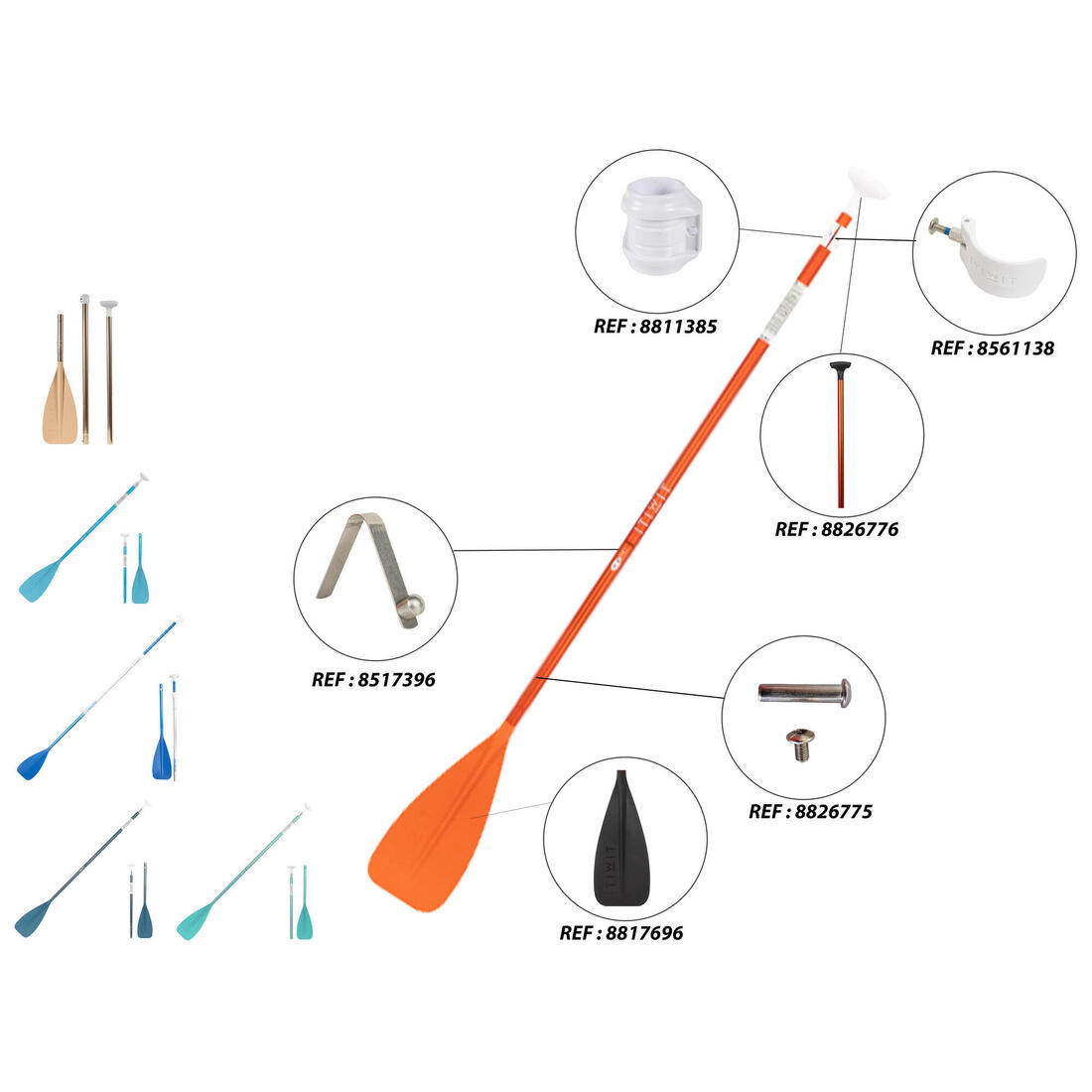 IMG_8511969_4
