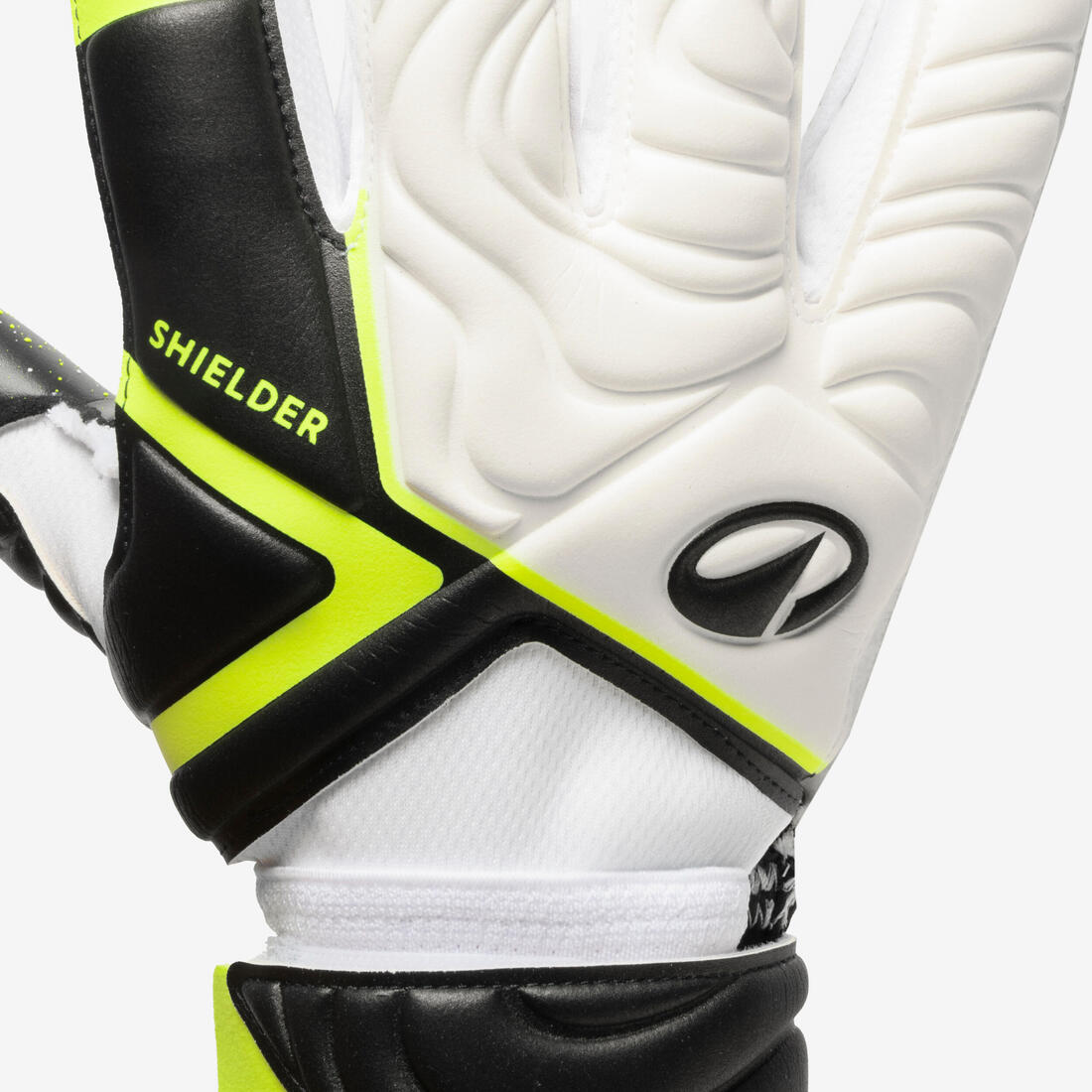IMG_8903409_5