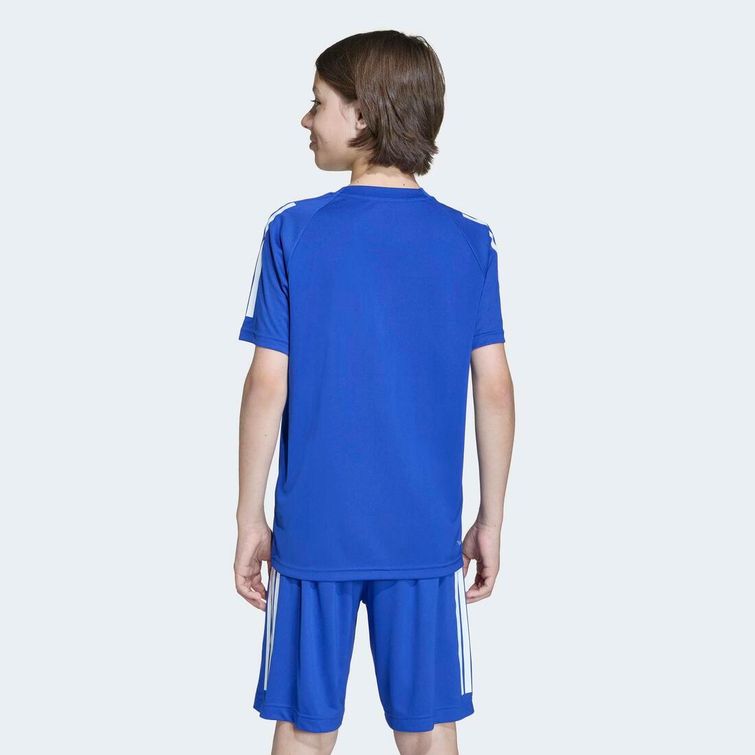 IMG_1009028887_3