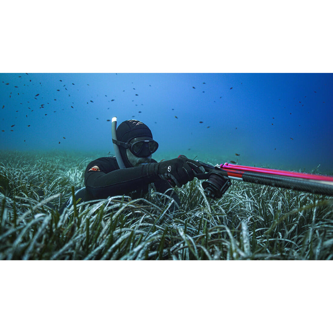 IMG_8484837_8