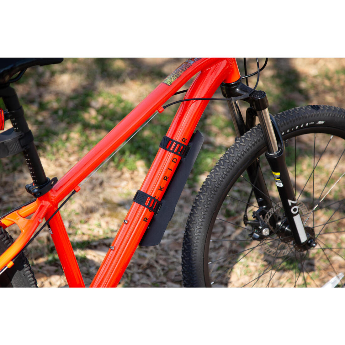 IMG_8615206_13