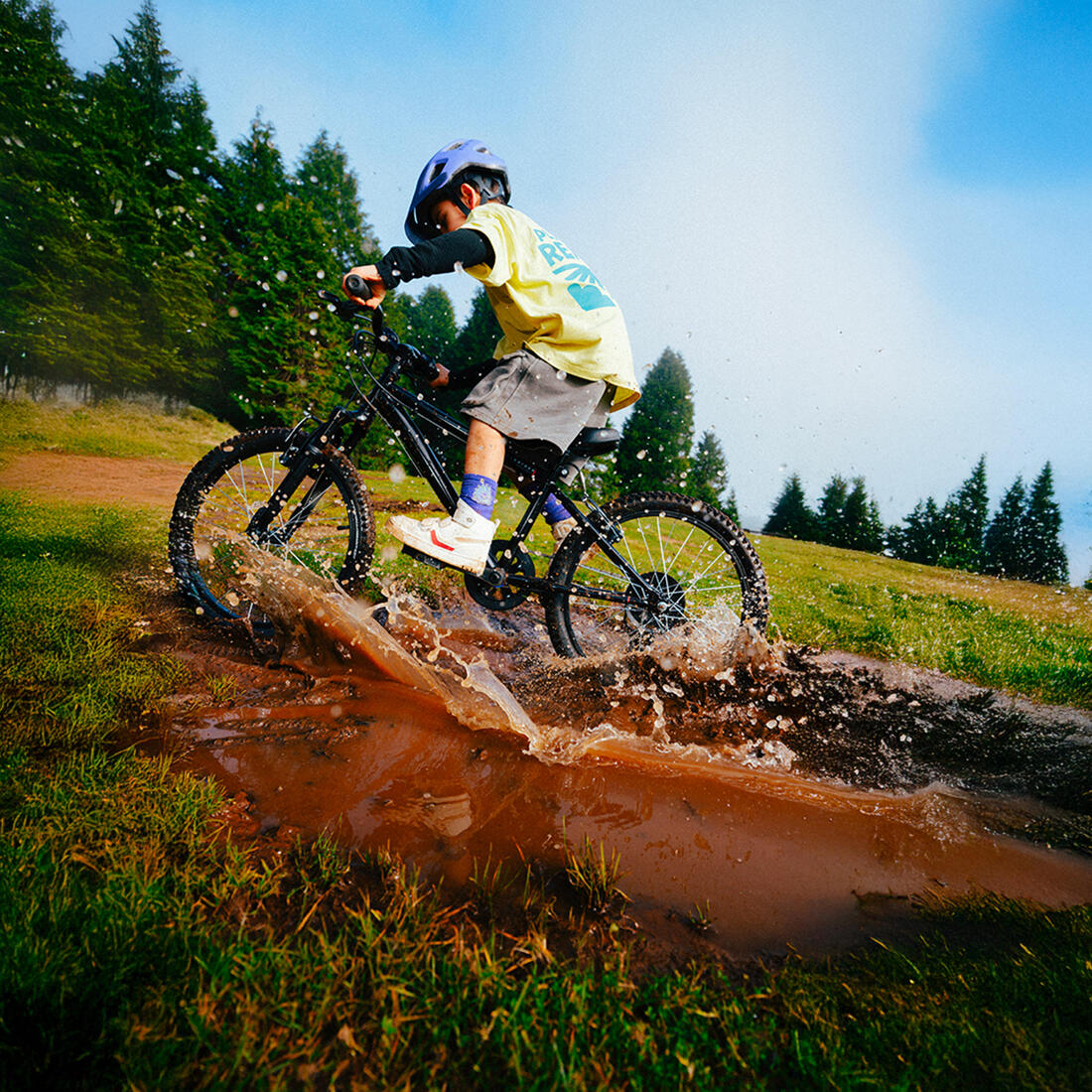 IMG_8733720_3