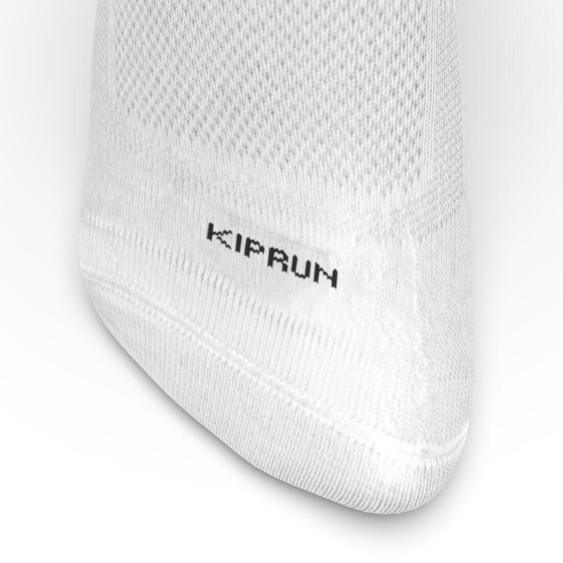 IMG_8296177_8