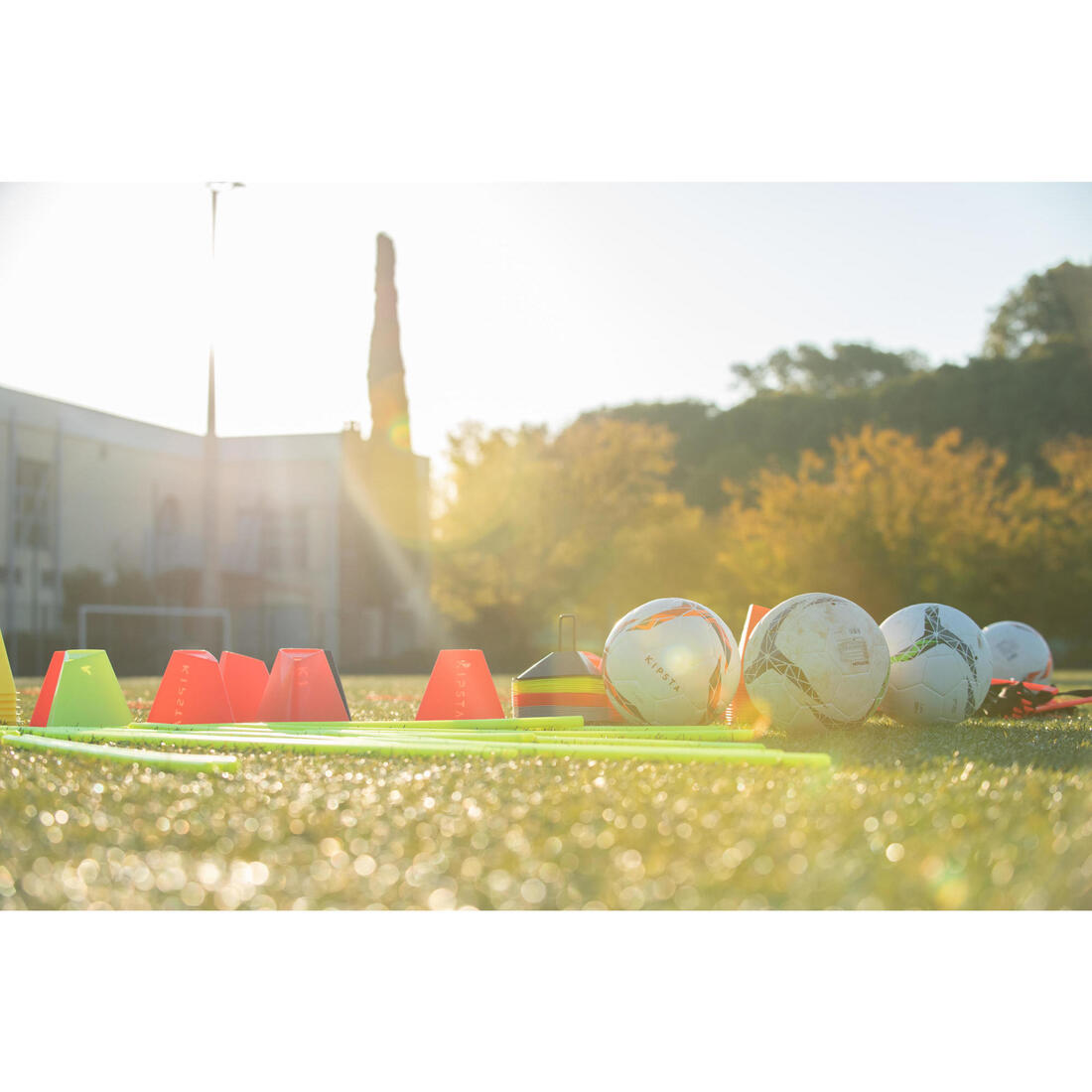 IMG_8497806_6