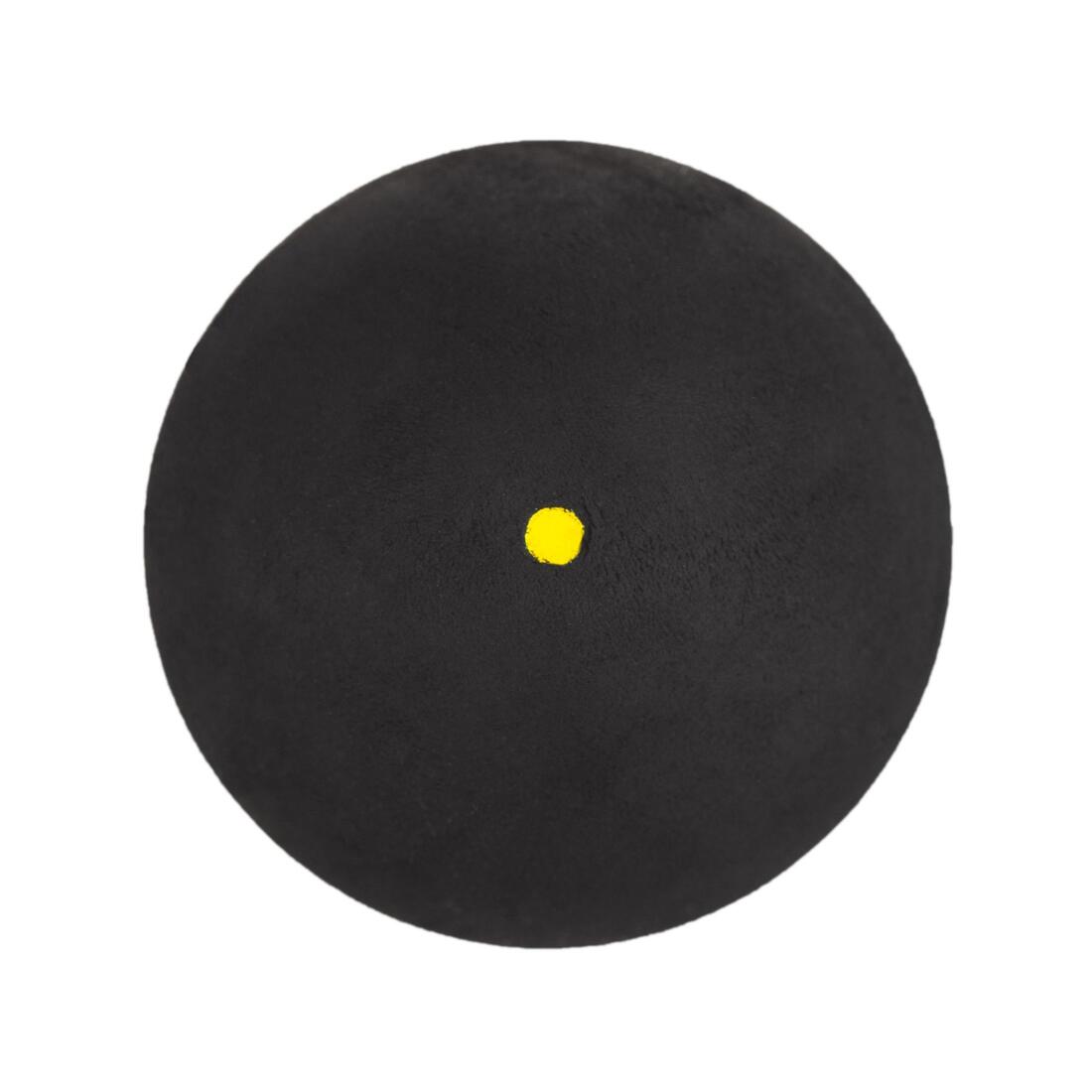 IMG_8649202_2