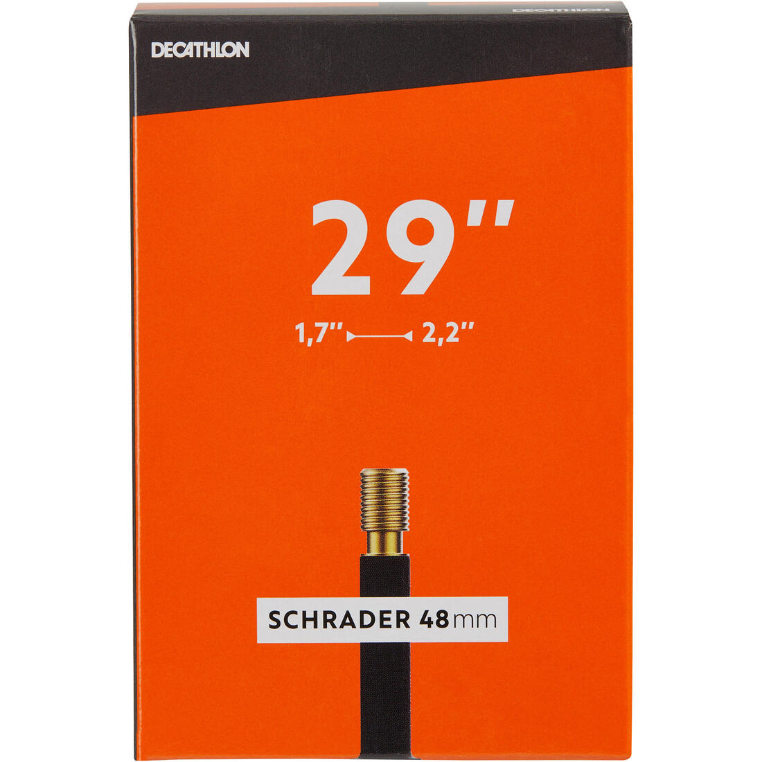 IMG_8311106_1