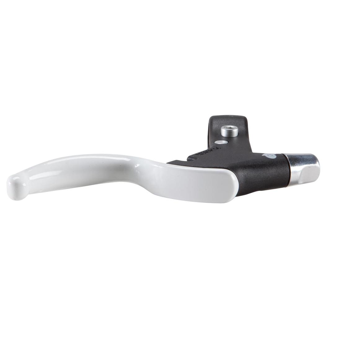 IMG_8299213_7