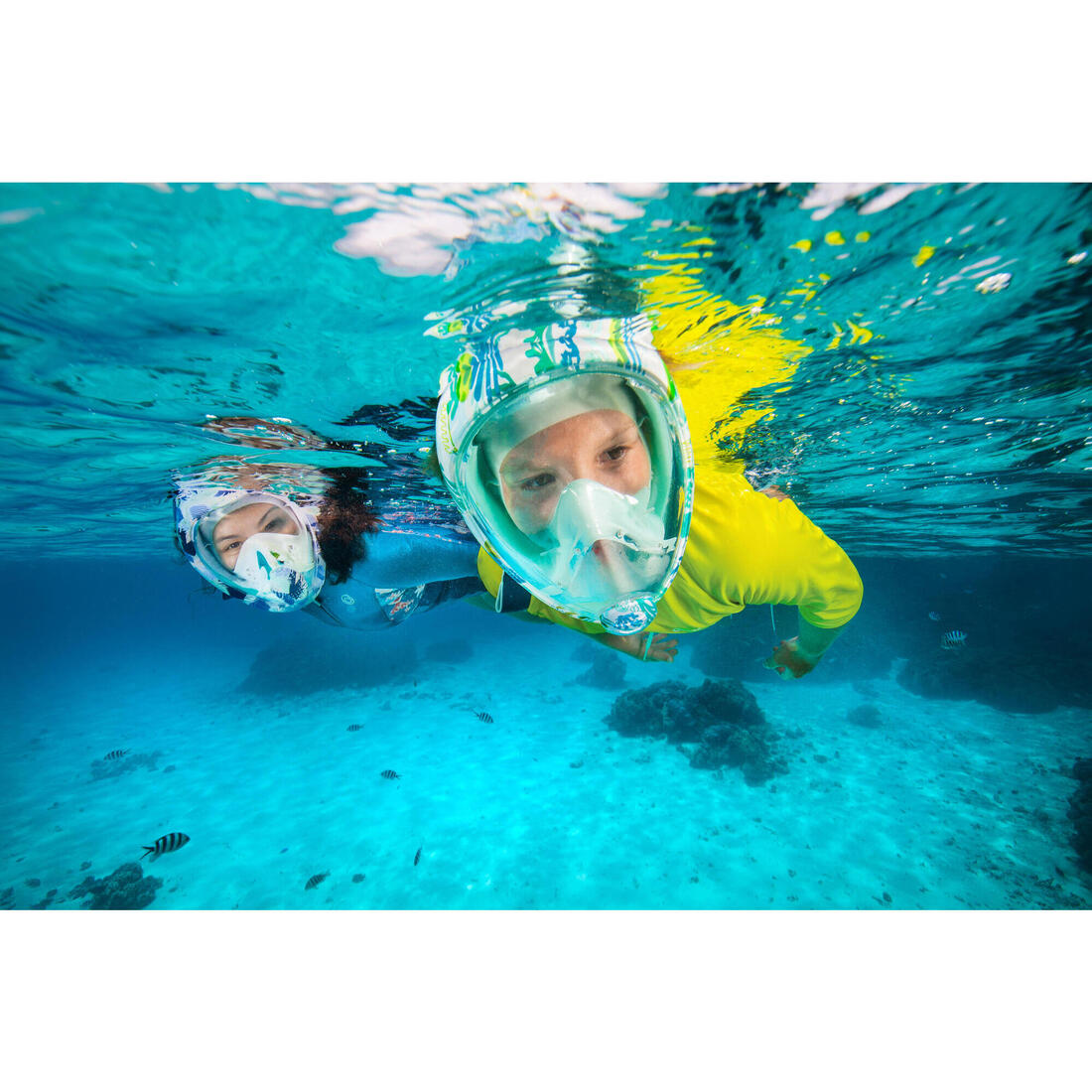 IMG_8732689_11