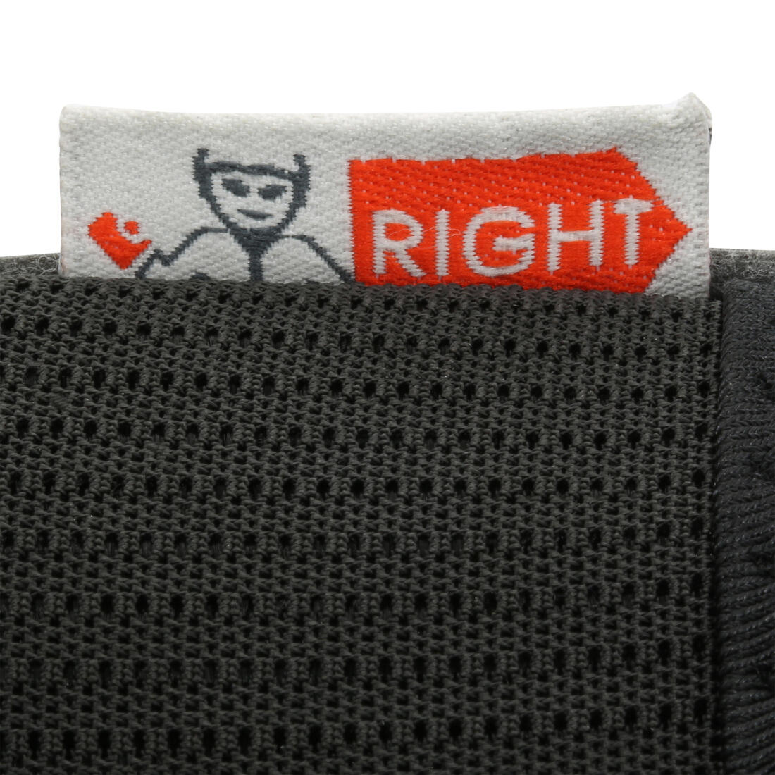 IMG_8494804_9
