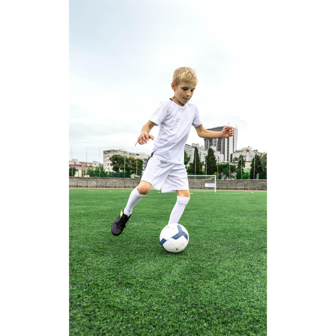 IMG_8558493_5