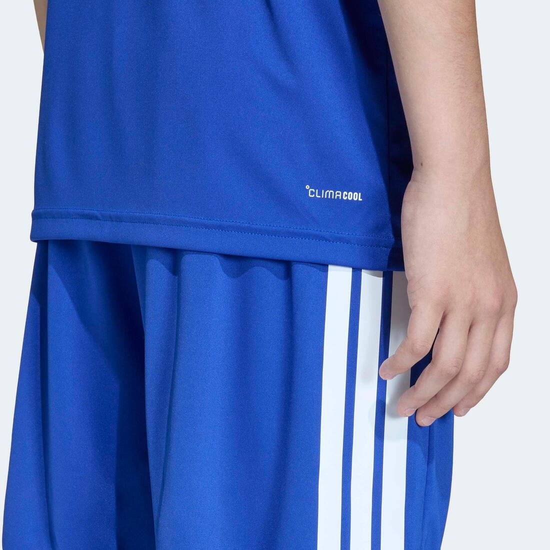 IMG_1009028887_6