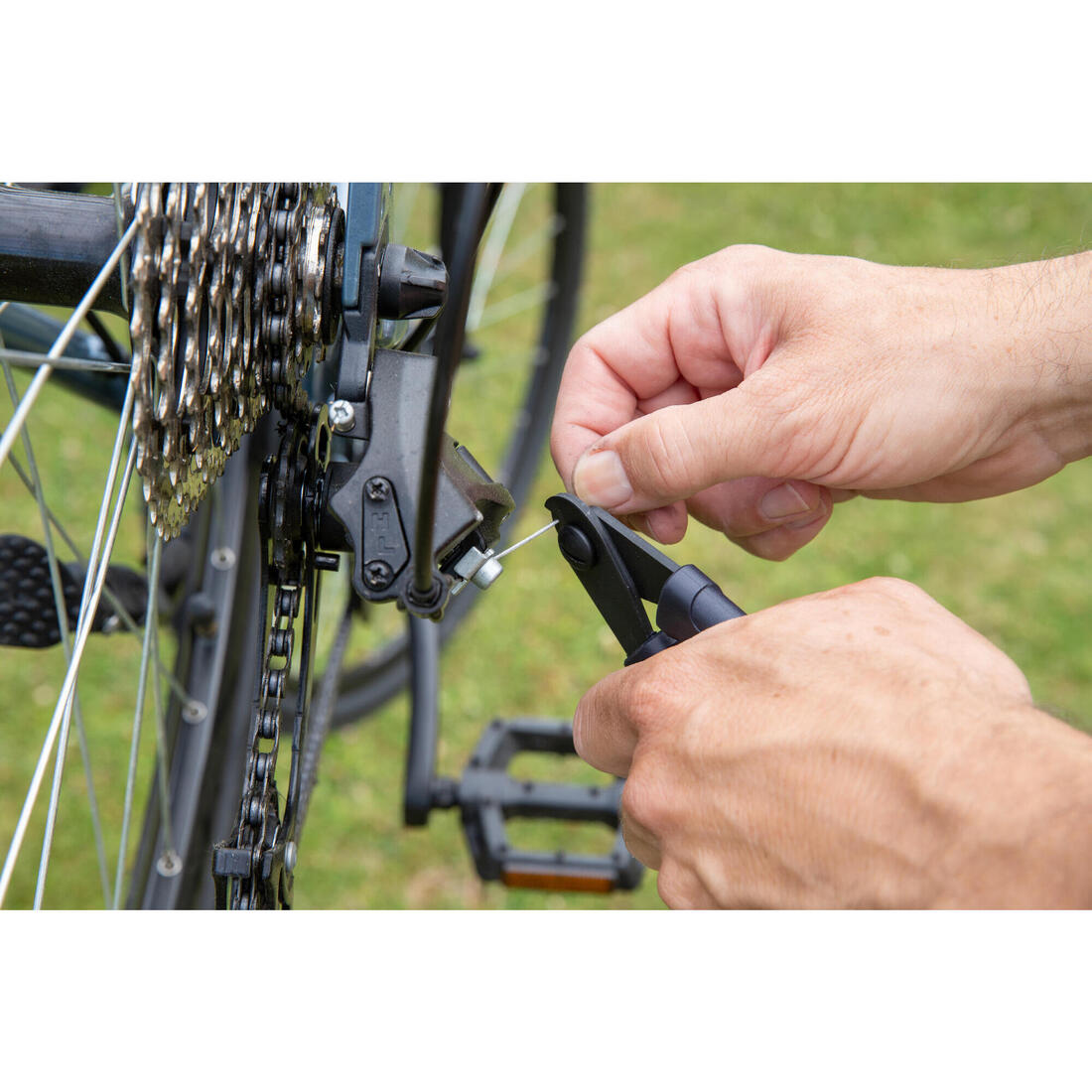 IMG_8938263_6