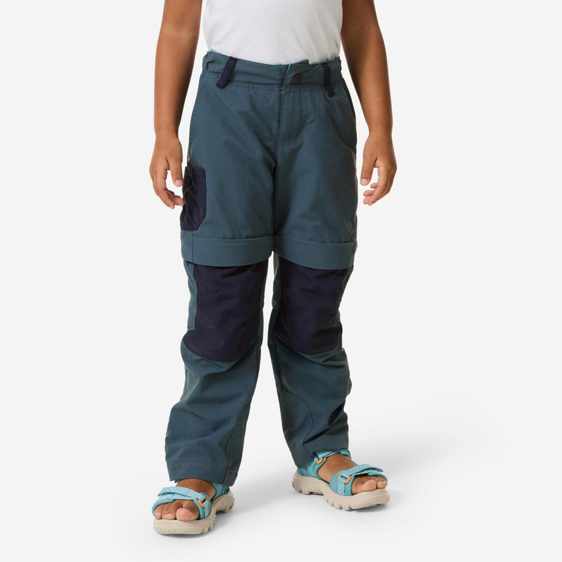 IMG_8559014_1