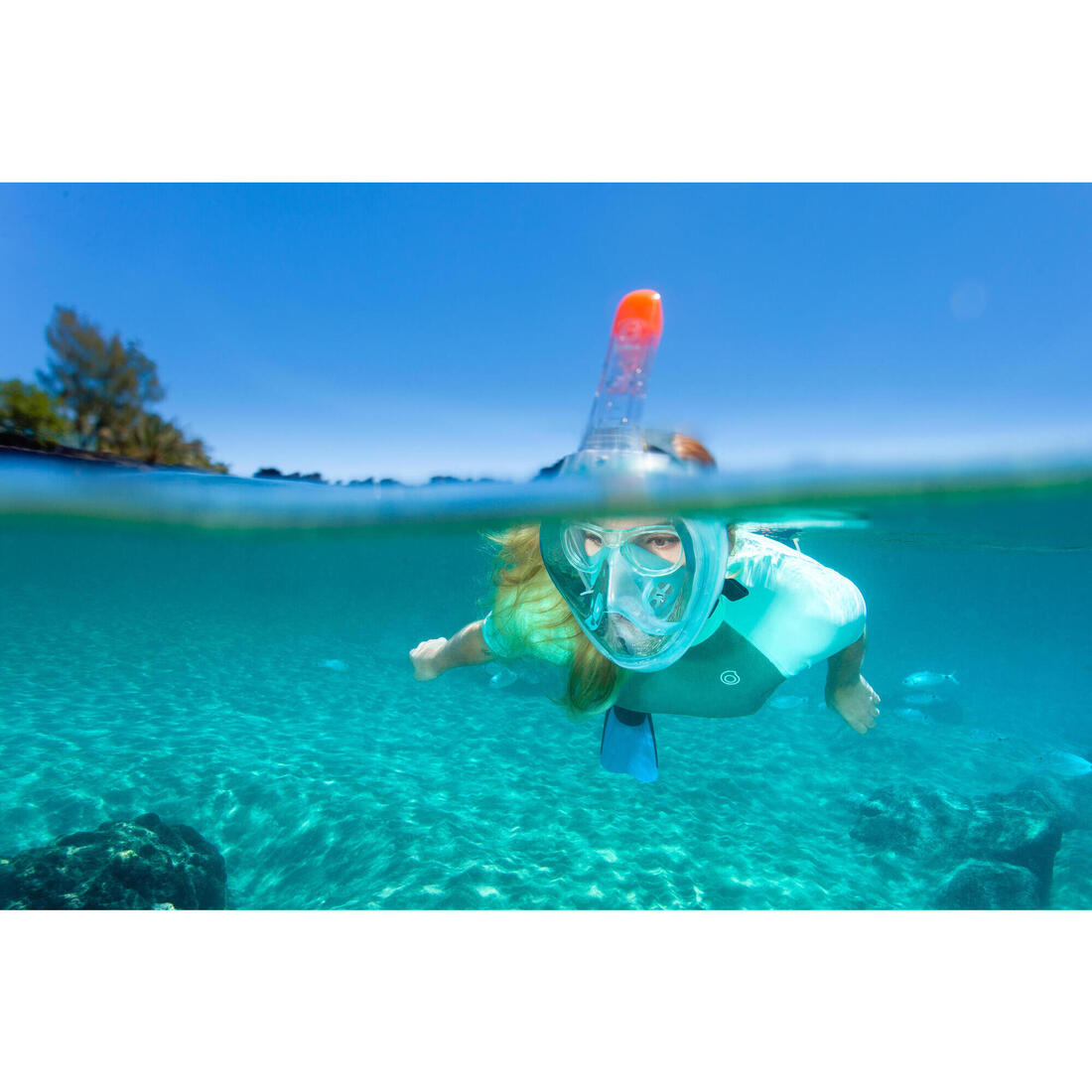 IMG_8491269_2