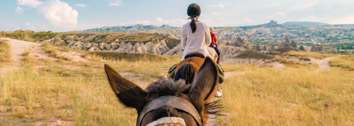 Horse Riding for Beginners – Decathlon UAE