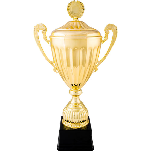 





Trophy C920 40 cm - Gold