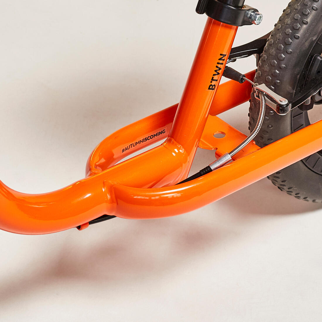 IMG_8576515_8