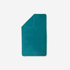 aquamarine green