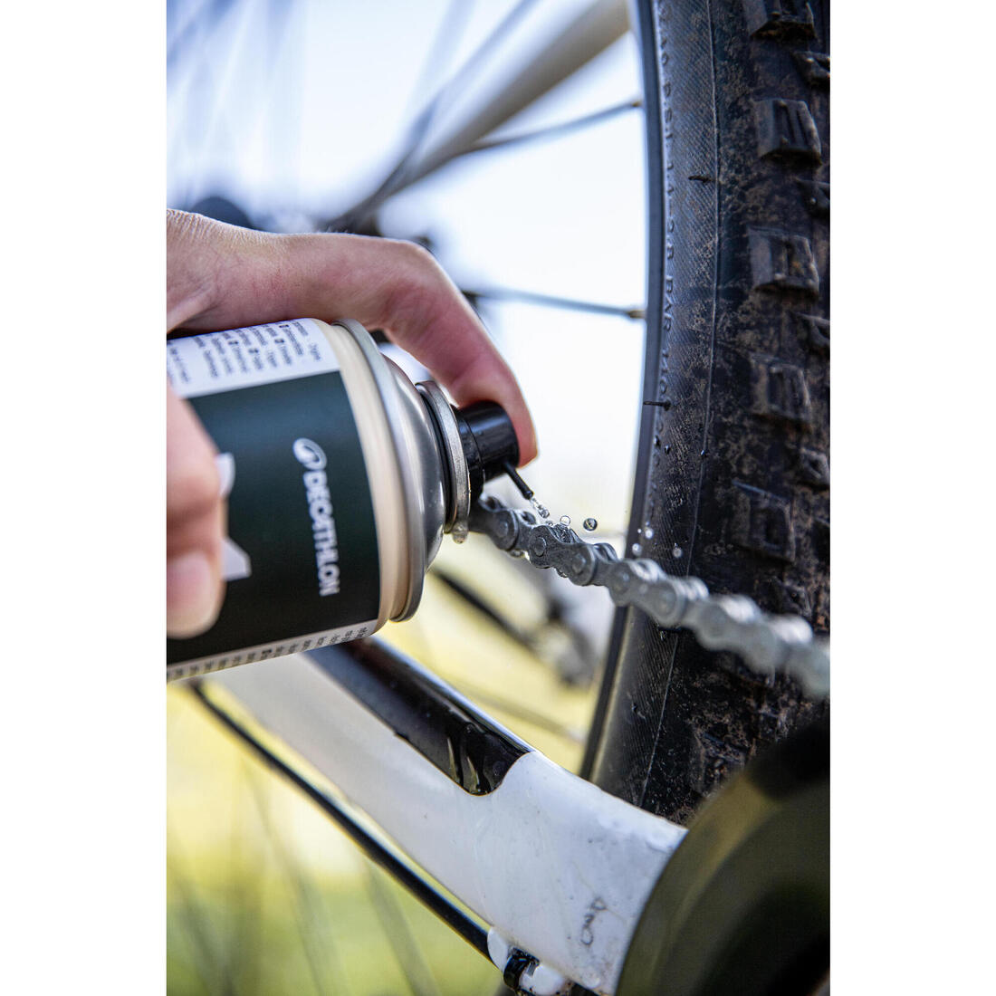 IMG_3161602
