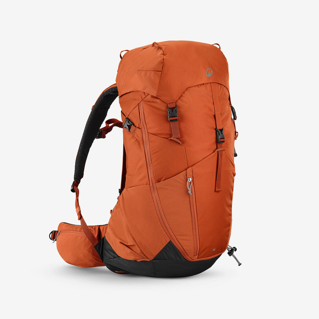 IMG_8920386_1