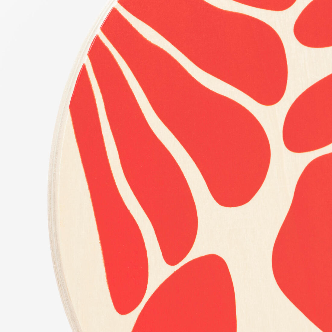 IMG_8853285_8