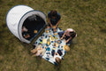 IMG_8734851_3