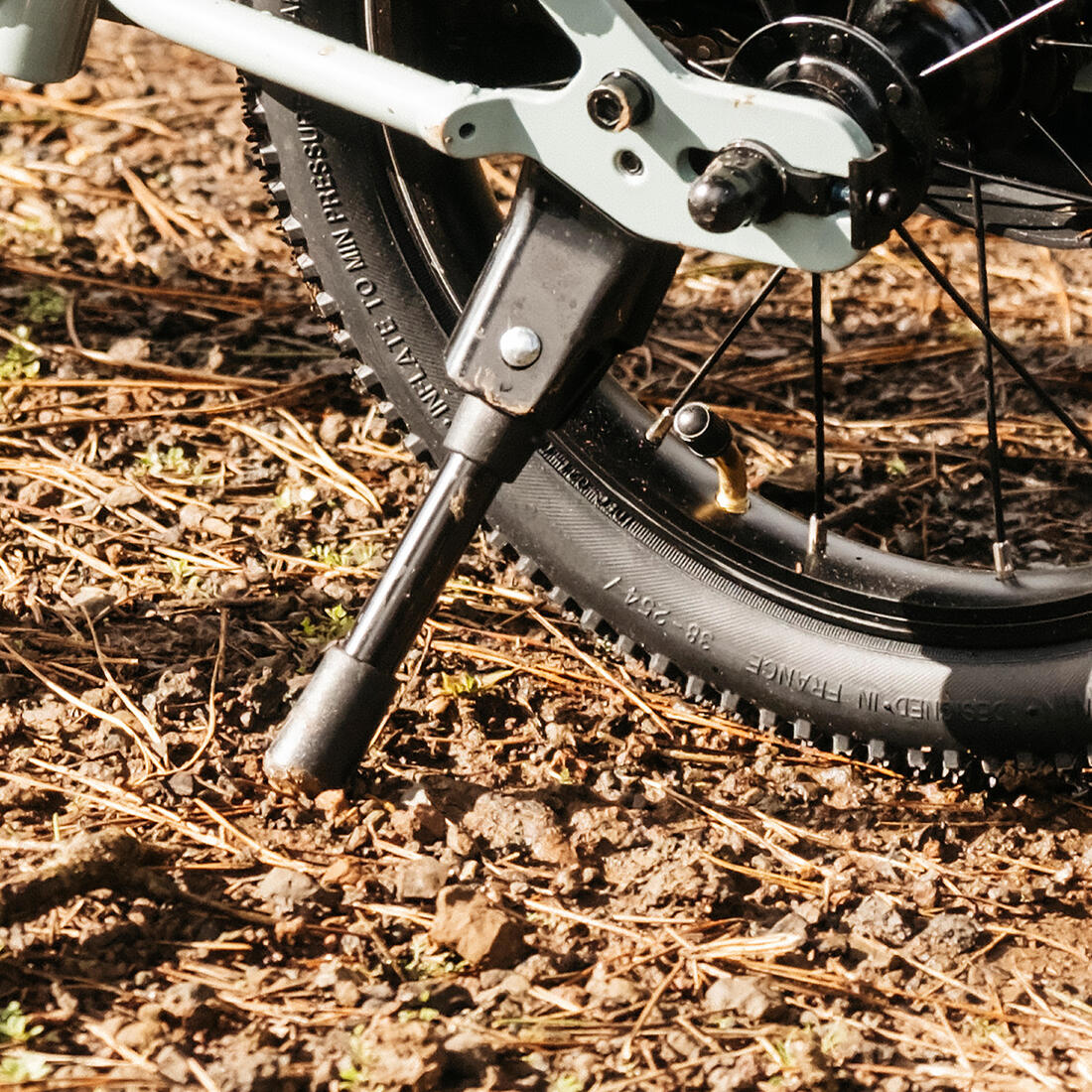 IMG_8772274_4