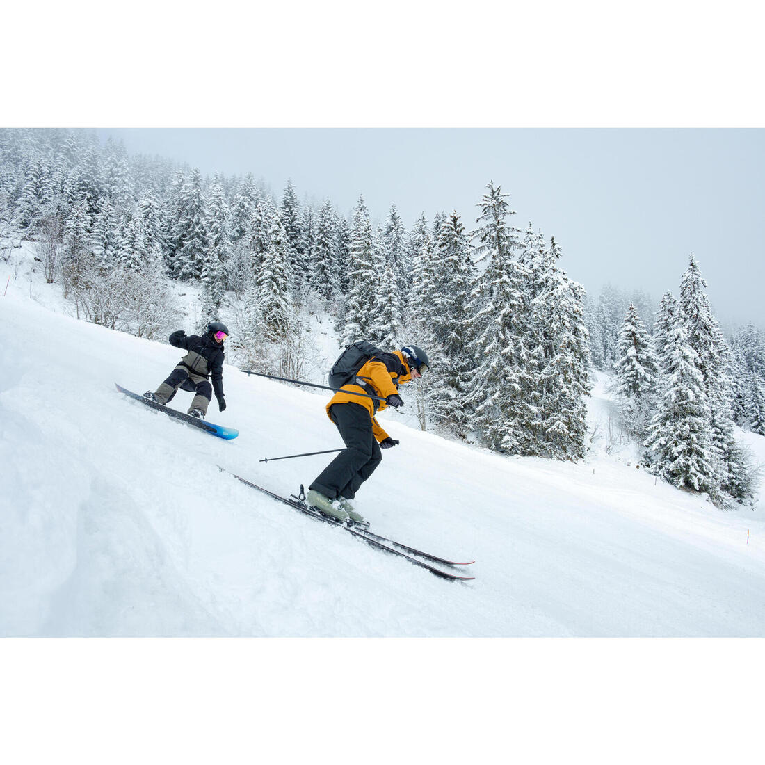 IMG_8861301_7