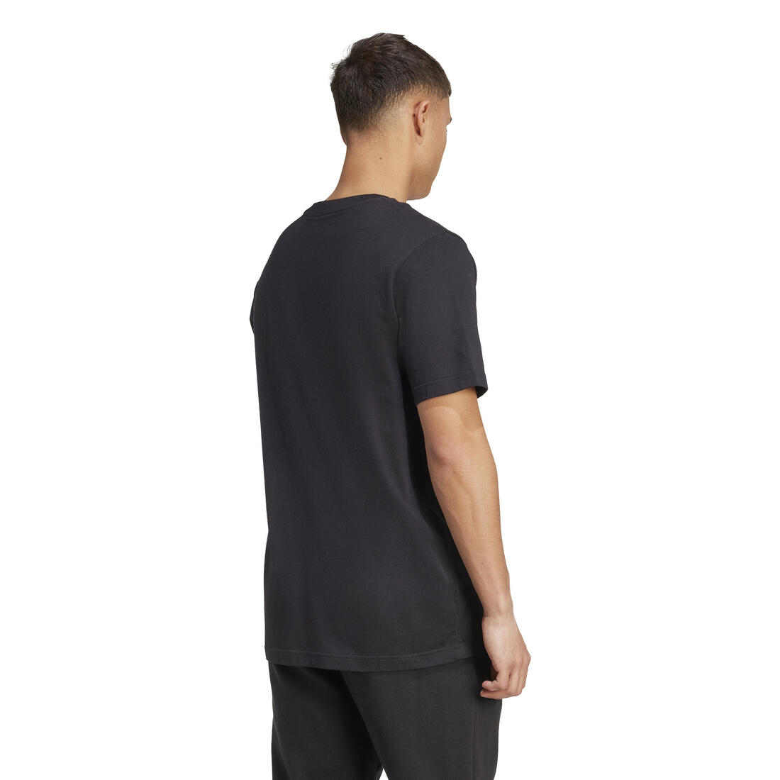 IMG_1008995619_2