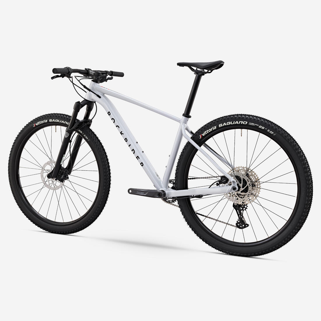 IMG_8731669_2