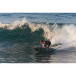 Product thumbnail 8 of 10