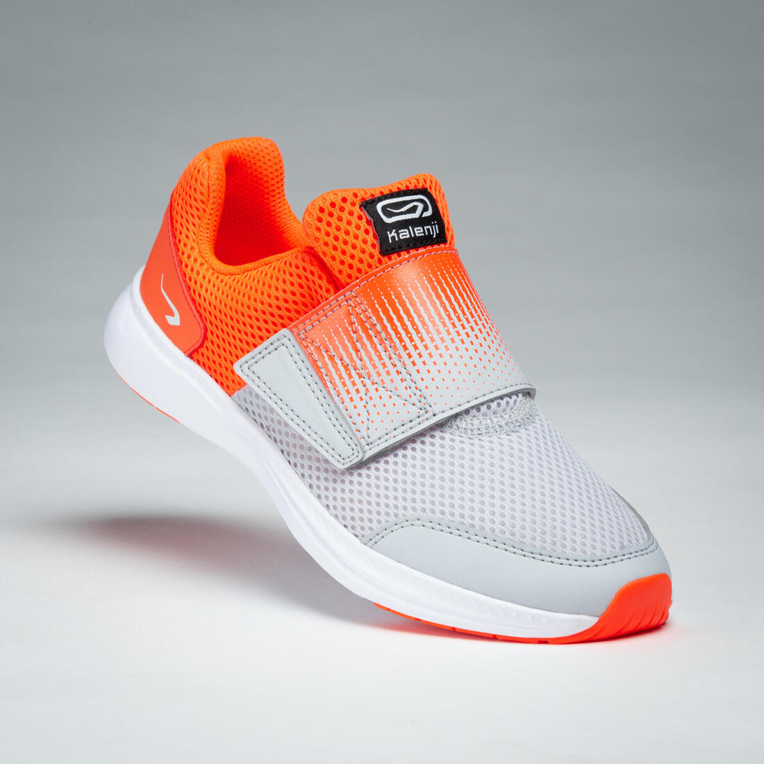 IMG_8505239_3
