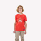 vermilion red