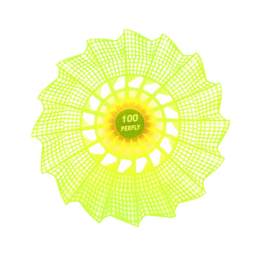 IMG_8590063_8