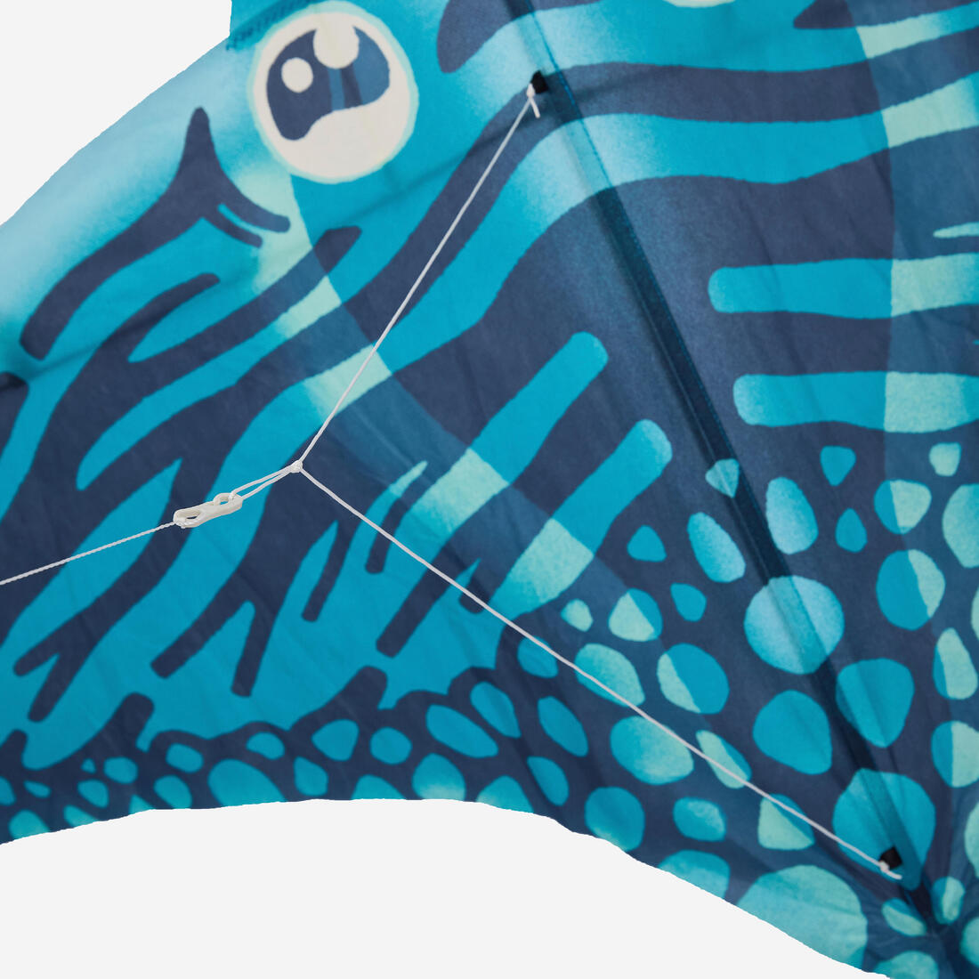 IMG_8987265_3