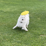 Product thumbnail 2 of 10