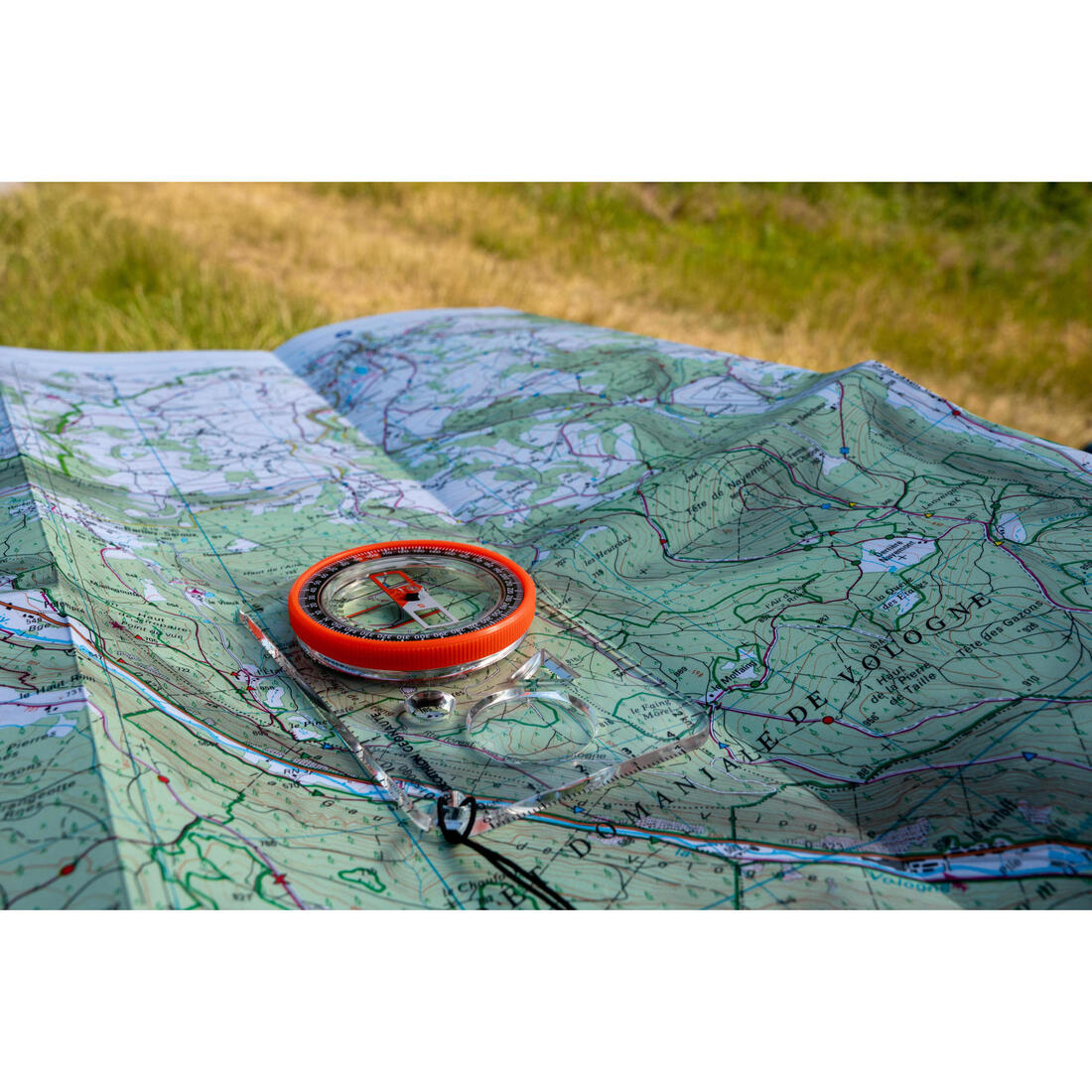 IMG_8518776_9