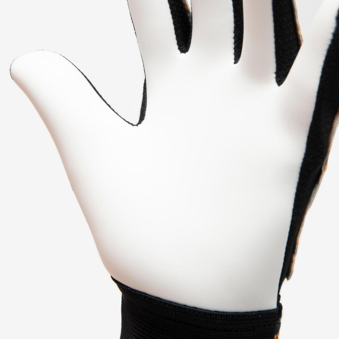 IMG_8871511_4