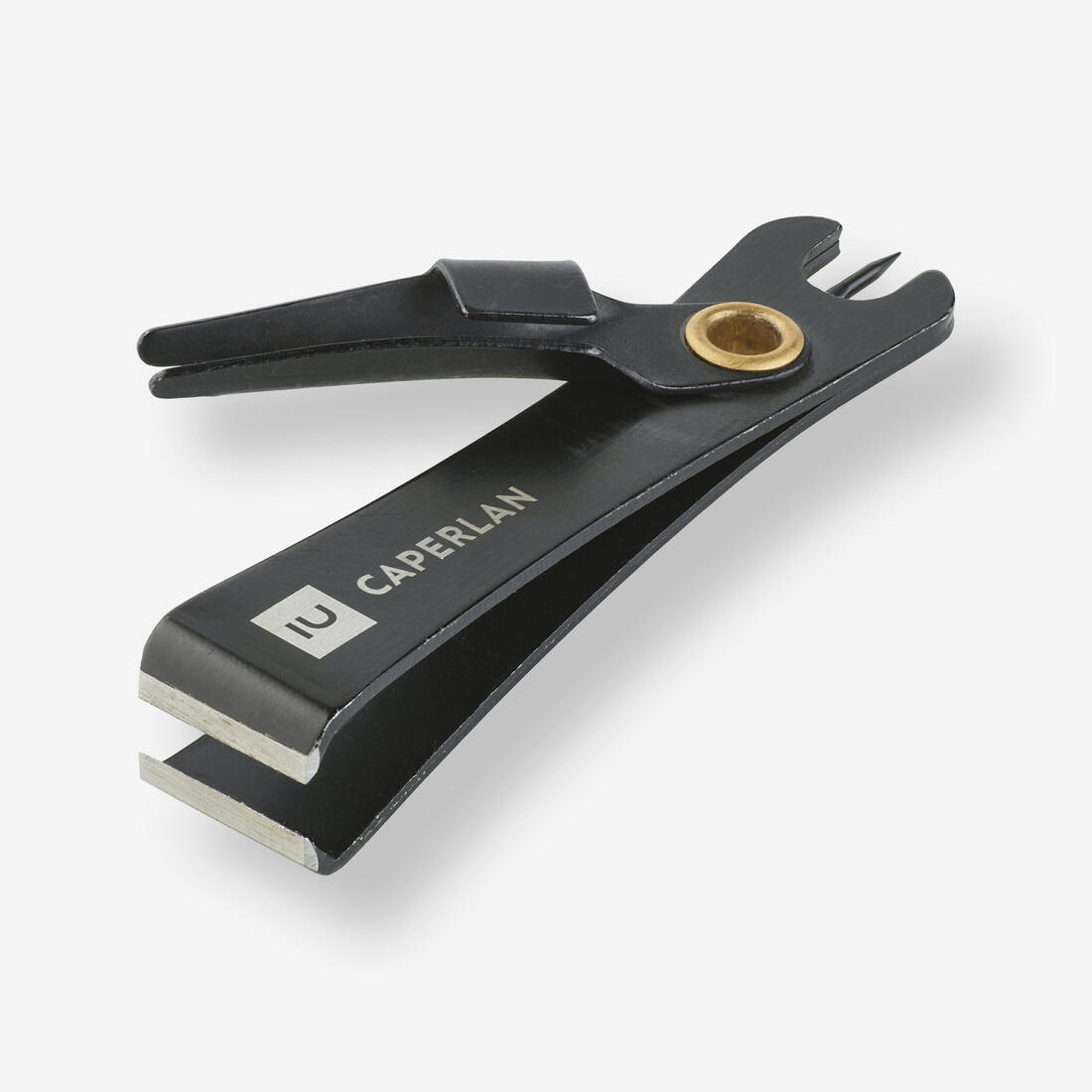 IMG_8606589_1