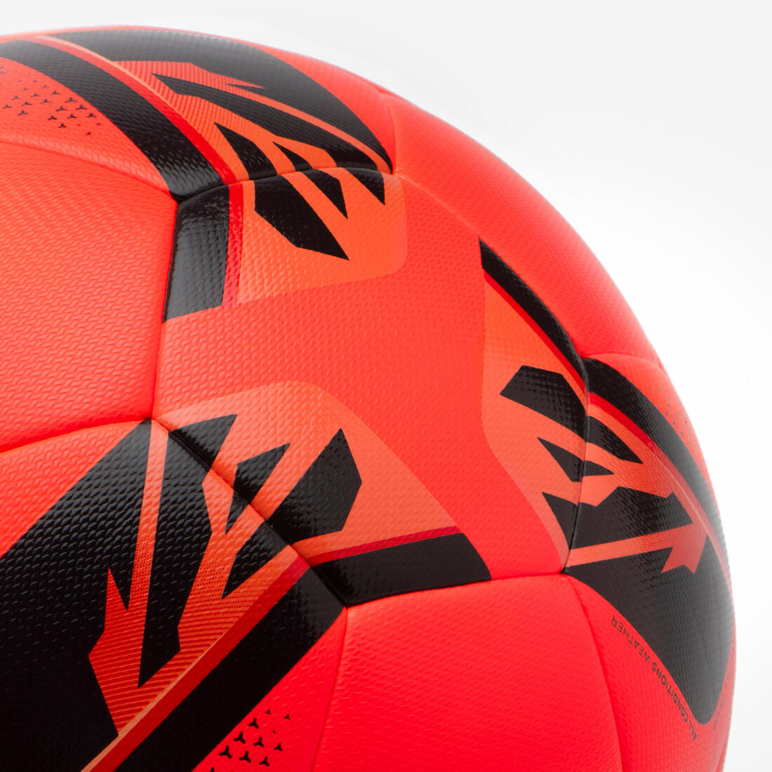 IMG_8790035_7