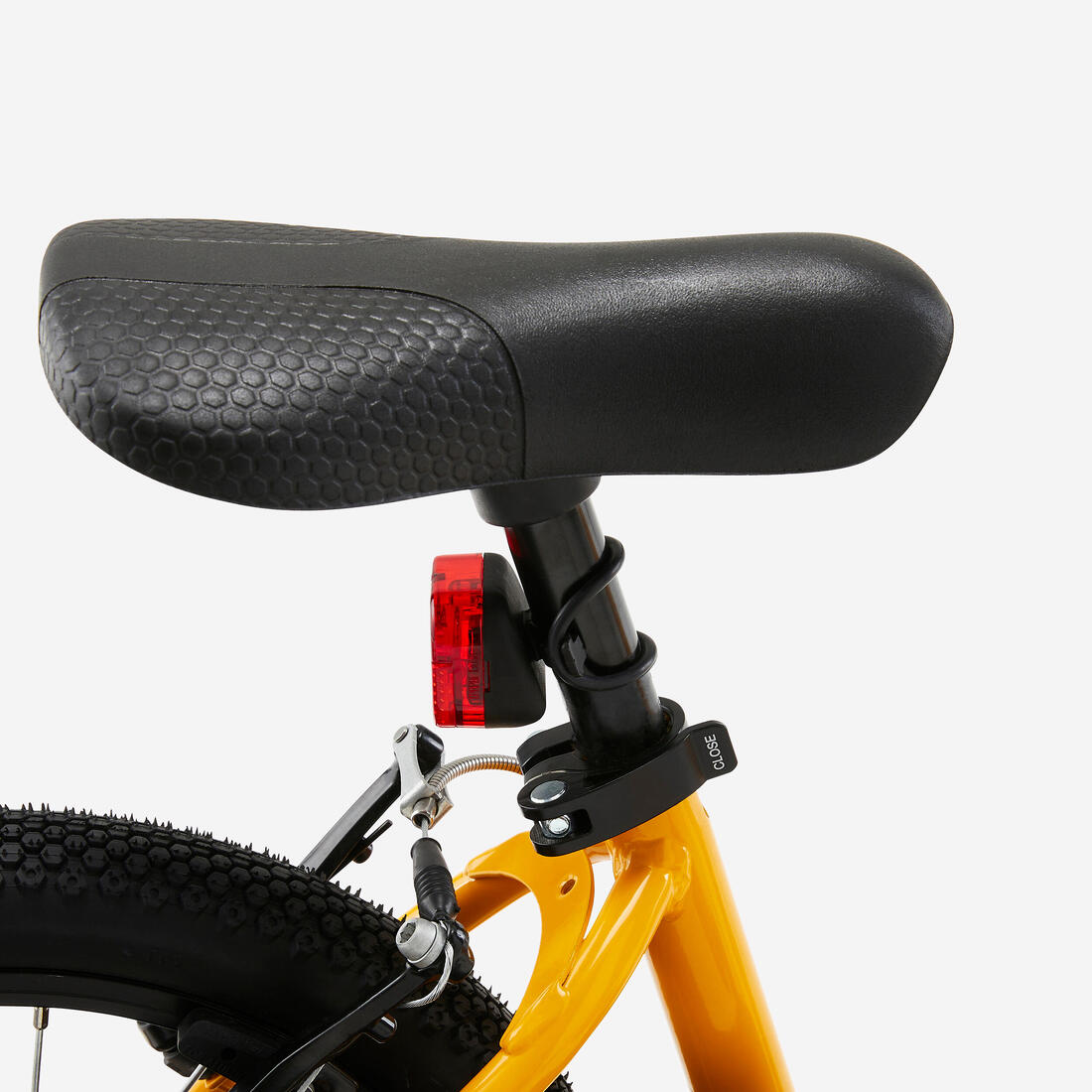 IMG_8646306_9