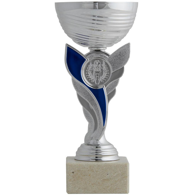 





Trophy 19cm C130 - Silver/Blue, photo 1 of 3