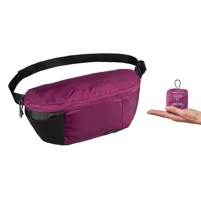 Compact 2 Litre Travel Bum Bag